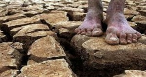Seca afecta 1,8 milhões de pessoas no sul de Angola - Folha 8