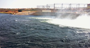 Primeiro projecto de carbono em Angola