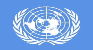 ONU carece de reforma democrática