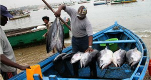 Estaleiros portugueses abastecem Angola - Folha 8