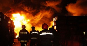 Mais de mil mortos devido a incêndios desde o início do ano
