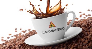 Empresa pública de café vendida ao grupo Nabeiro - Folha 8