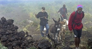 Ajuda solidária à população da Ilha do Fogo - Folha 8