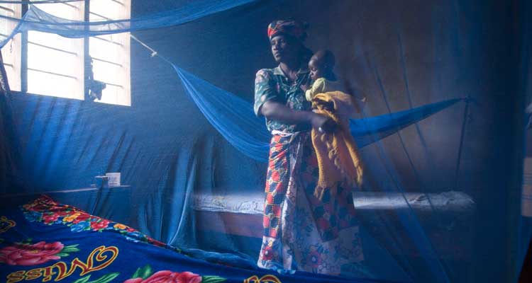 Malária ataca em Luanda - Folha 8