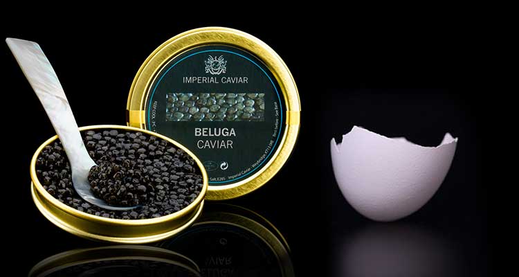 caviar-ovos-angola.