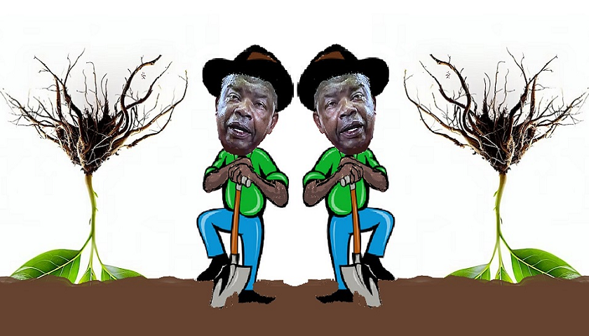 MPLA は…能力の種子の輸入を拒否