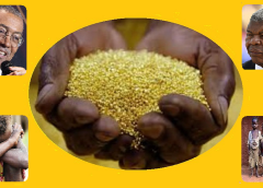 REFINARIA DE OURO? ERA, FOI, É… SERÁ